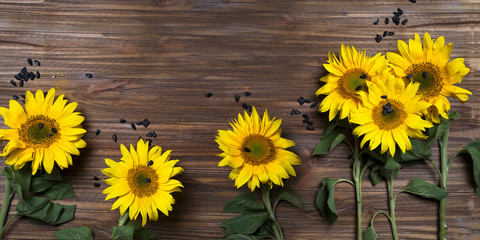 Autumn background with sunflowers