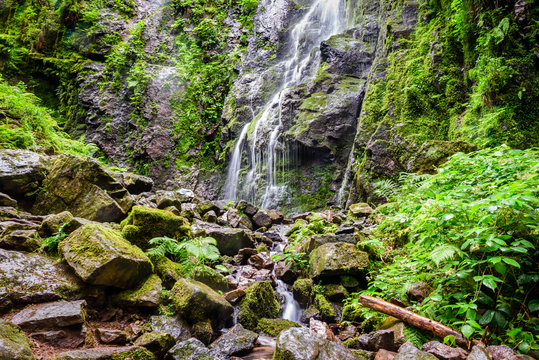 Wasserfall im Schwarzwald
