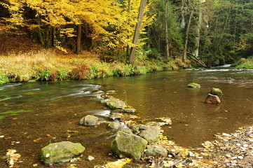 Autumn colors river