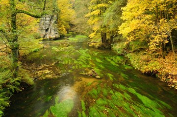Autumn colors river