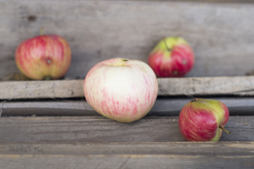 apples