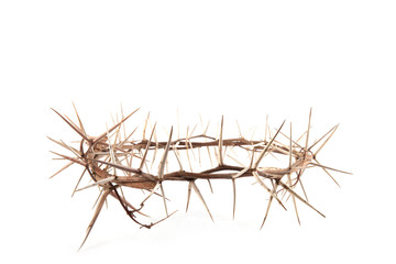 Crown of thorns isolated