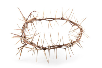 Crown of thorns isolated
