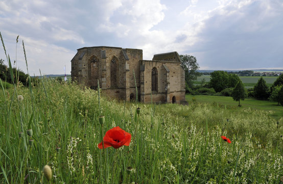 ruine der beller kirche bei eckelsheim in der rheinhessischen schweiz