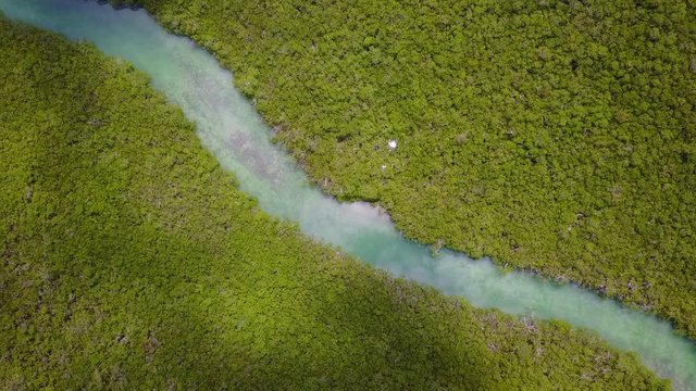 Aerial Image of Narrow Channel and Mangrove Forest