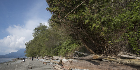 People walking on the beach, British Columbia, Canada