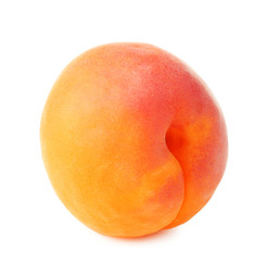 Fresh apricot on white background