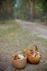 Baskets full of various kinds of mushrooms in a forest