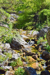 The mountain stream.