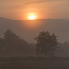 Fototapeta premium Sunrise over mountains, Chiang Rai, Thailand