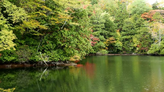 Autumn lake
