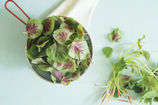 Red Chinese spinach