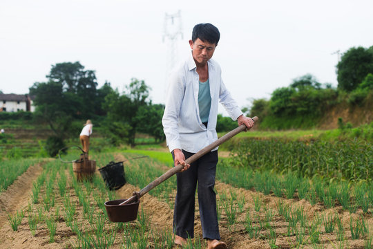 farmer working in the field