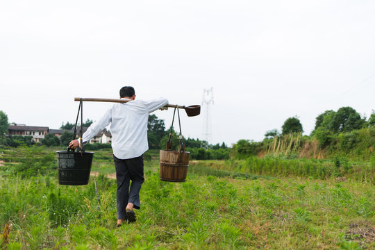 farmer working in the field