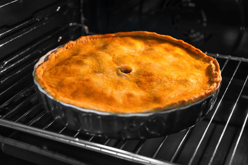 Delicious meat pie in oven, closeup