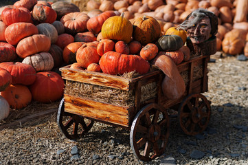 a lot of pumpkins of different colors and shape lie on a wooden cart with masks for halloween