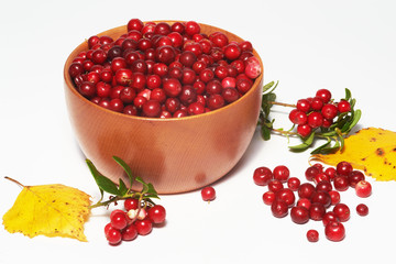 Wooden bowl with red bilberry and yellow birch leaves on white background