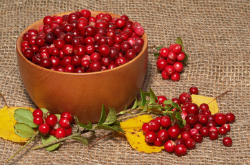 Wooden bowl with red bilberry and yellow birch leaves on canvas as background
