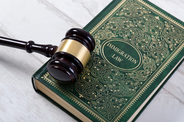 Immigration law book with judges gavel