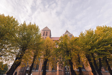 Fototapeta premium trees in city against sky