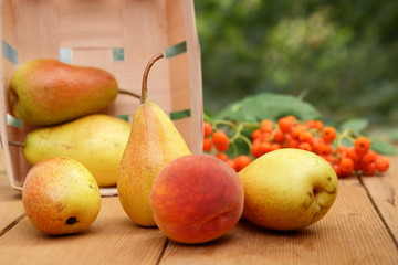 Pears, peach and rowan berries in a wooden box on a wooden table when harvesting in the forest