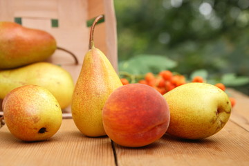 Pears, peach and rowan berries in a wooden box on a wooden table when harvesting in the forest