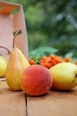 Pears, peach and rowan berries in a wooden box on a wooden table when harvesting in the forest
