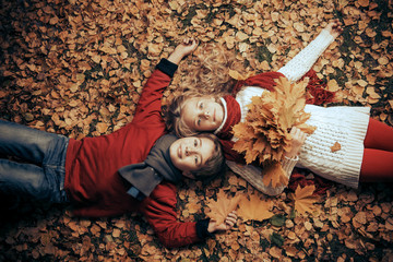 golden leaves season