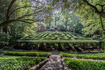 colonial hedge maze