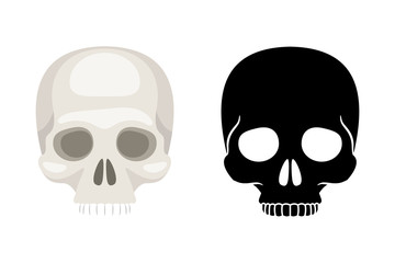 Set of skulls