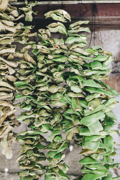 Dried string bean pods