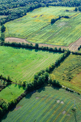 Vertical Aerial View of Farmland