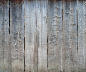 Obraz premium Panorama Natural wooden backgrounds