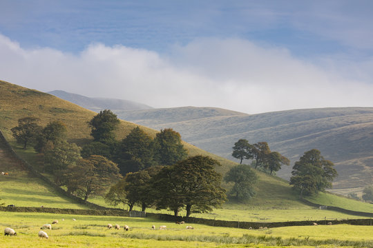 Misty Morning In Edale