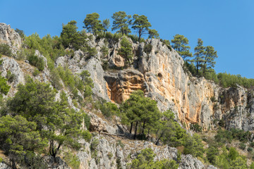 Naklejka premium Ansicht aus dem Nationalpark Krka mit Bäumen und Sträuchern an steiler Felswand