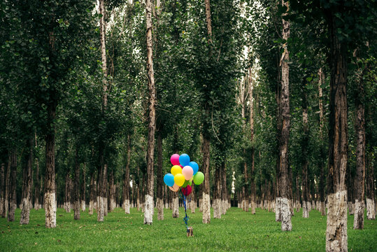 A bunch of balloons in park