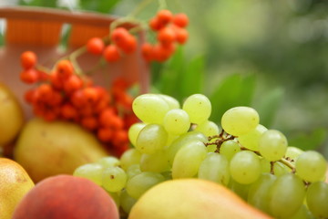 Pears, peach, green grapes, rowan berries in a wooden box on a wooden table in the woods at the time of harvesting