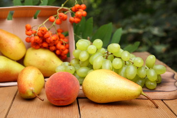 Pears, peach, green grapes, rowan berries in a wooden box on a wooden table in the woods at the time of harvesting