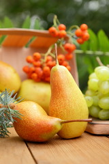 Pears, peaches, green grapes and rowan berries with fir branches for a Christmas dinner