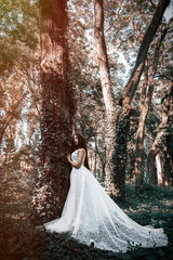 Woman or girl, a bride in a white wedding dress, stands in the middle of a forest or park, a mysterious photo with sunrays