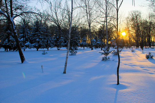 Sunset in a city park on winter