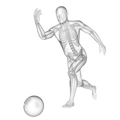 3d rendered medically accurate illustration of a transparent bowling player