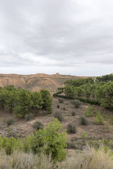 For the desert of the monegros in Teruel