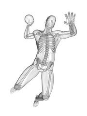 3d rendered medically accurate illustration of a transparent handball player