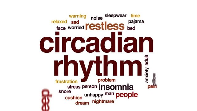Circadian rhythm animated word cloud, text design animation.