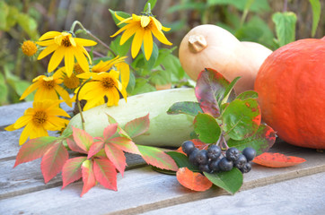 Fresh vegetables on wooden background. bright orange pumpkin, Autumn fruit background. Autumn Thanksgiving seasonal fruit. Nature background, yellow flowers, blackberry berries