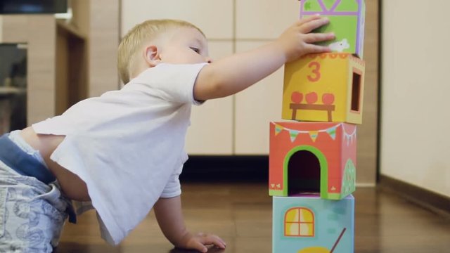Pretty boy tears down the cubes tower