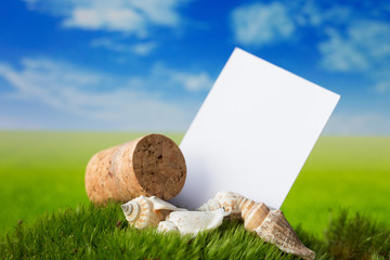 Korek i muszelki na łące z wizytówką © Magdalena