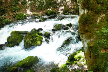 Stream flowing through rocky path in forest