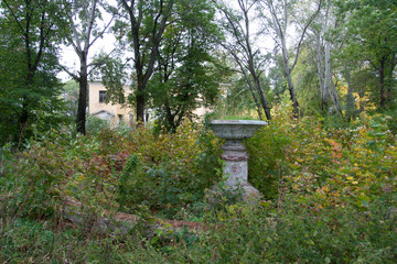 Overgrown by trees ruins of mansion. Abandoned park with broken fountain 